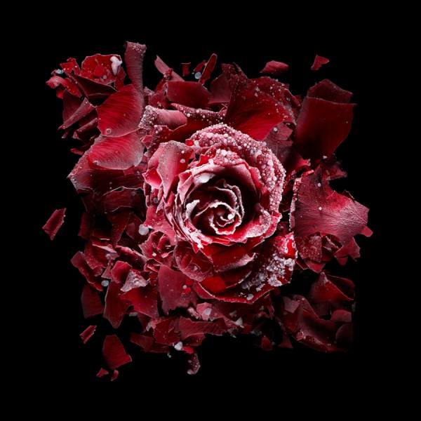 Photograph Julien Palast Textures Of Time on One Eyeland